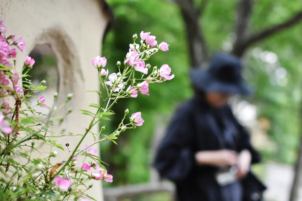 花の写真